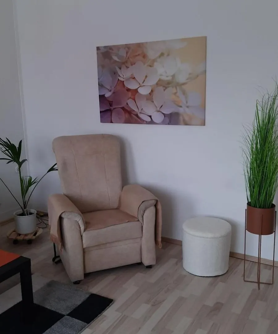 2-Raumwohnung In Dresden